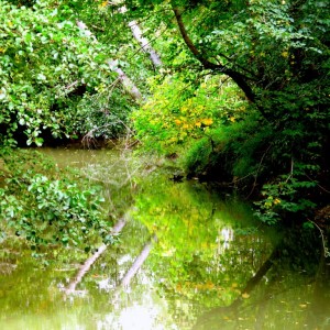 eau,reflet. 