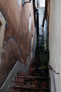 DSC_3797  