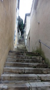 thumb_P1020723_1024  