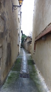 thumb_P1020727_1024  