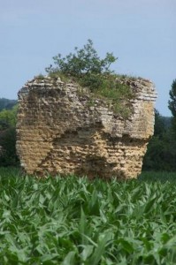 Betbèze Mouches 