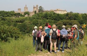 23-Face-a-Uzes