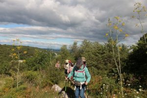 33-Au-milieu-des-ferrules