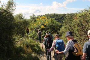35-Sentier-des-ferrules
