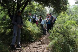 Sur-le-sentier