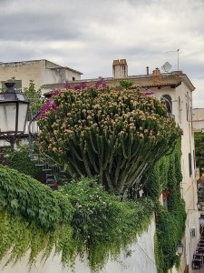 20240531_175527 - Copie 