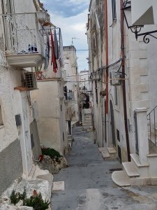 20240531_182555 - Copie 