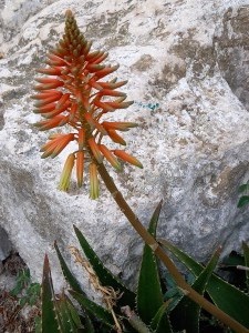 20240531_182657 - Copie 