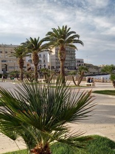 20240531_185635 - Copie  
