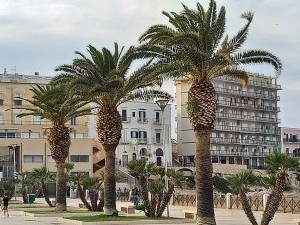 20240531_185720 - Copie  