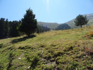 Coueou-Cabane-de-Prat-10