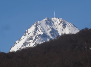 DSC02224 