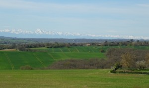 St Sauvy  montagne de l'Arrats (14)