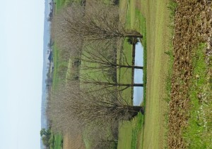 St Sauvy  montagne de l'Arrats (18)