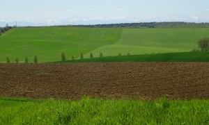 St Sauvy  montagne de l'Arrats (41)