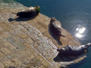 20250925 170508-recadre