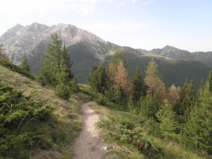 13 chemin de randonnée dans les mélèzes